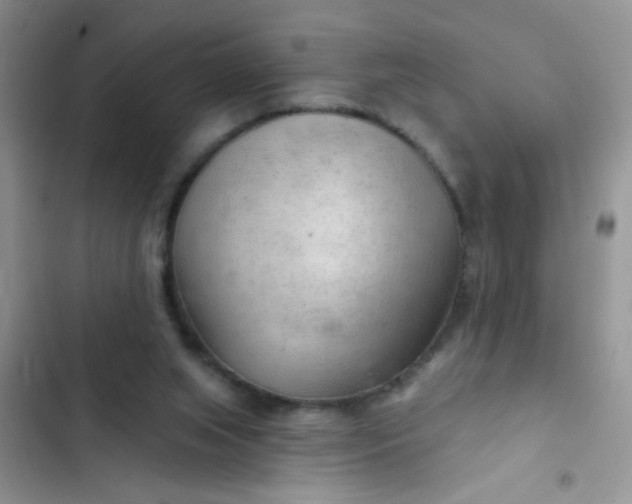 X0000102540063200808221938