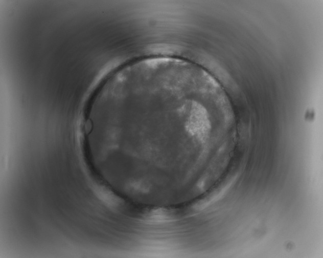 X0000102540064200808221938