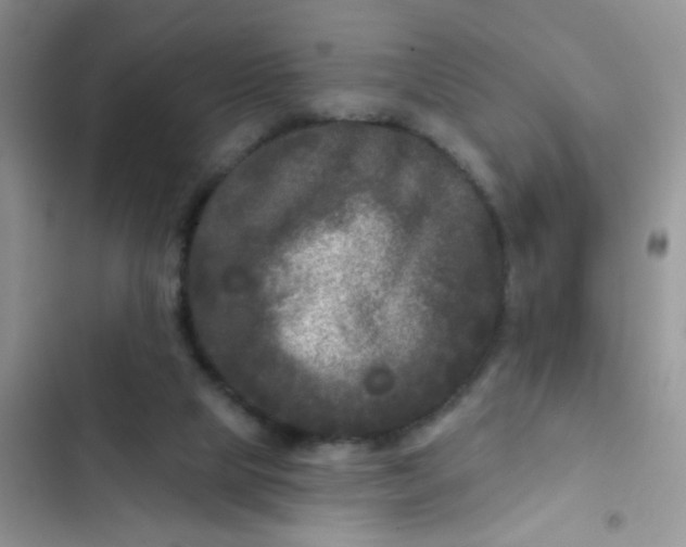 X0000102540065200808221938