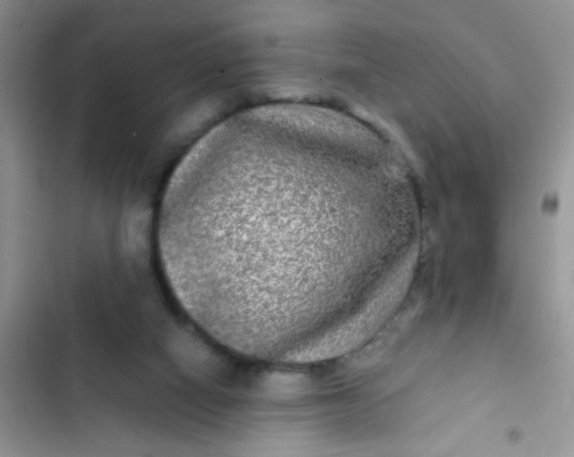 X0000102540066200808221938