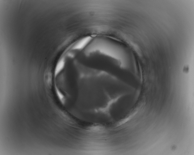 X0000102540067200808221938