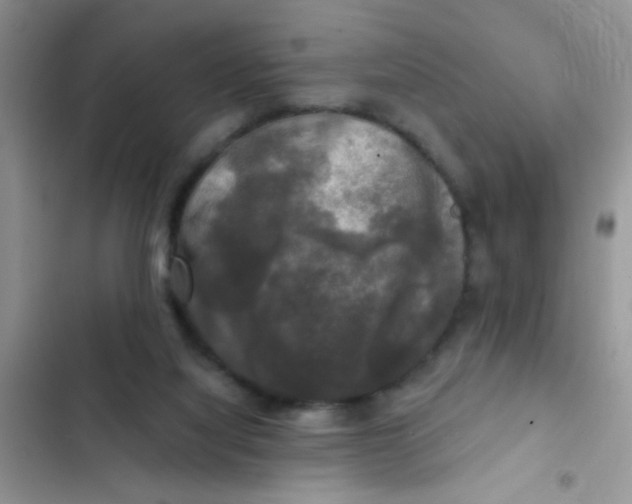 X0000102540068200808221938