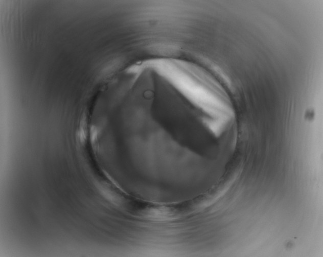 X0000102540069200808221938