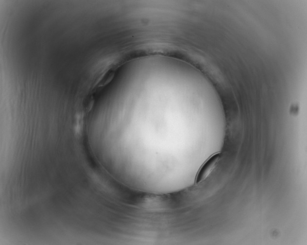 X0000102540070200808221938