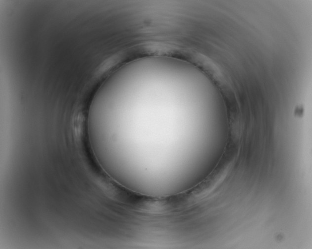 X0000102540071200808221938