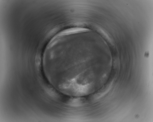 X0000102540072200808221938