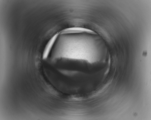 X0000102540073200808221939