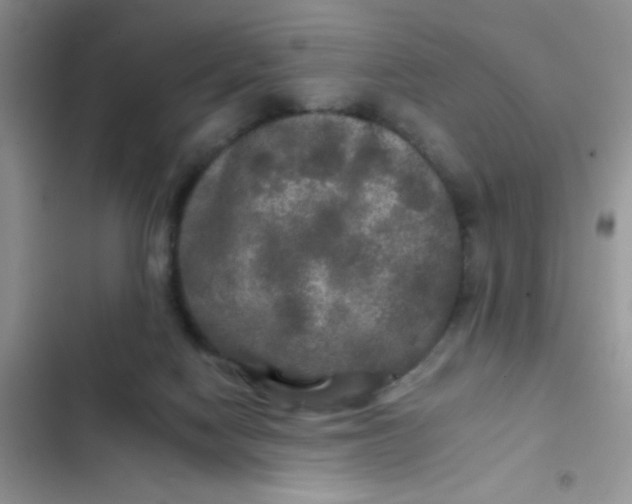 X0000102540074200808221939