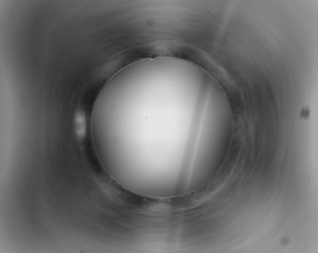 X0000102540075200808221939