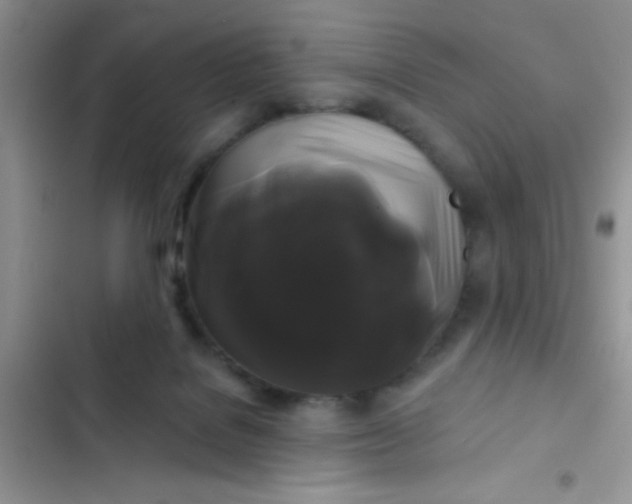 X0000102540076200808221939