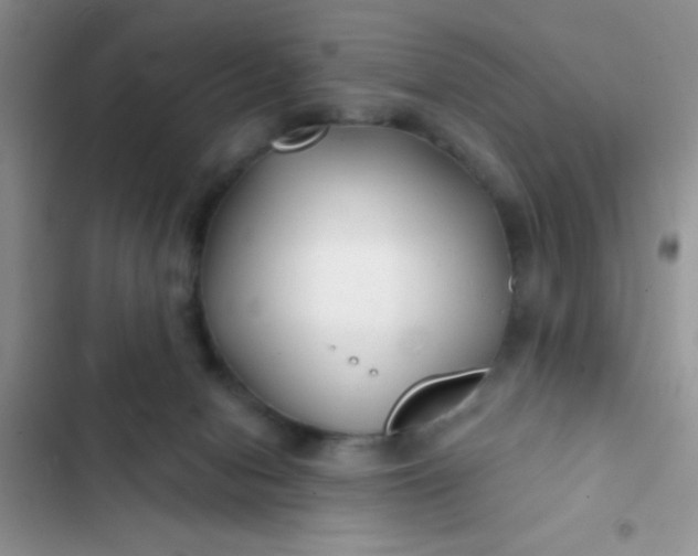 X0000102540078200808221939