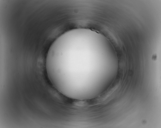 X0000102540079200808221939