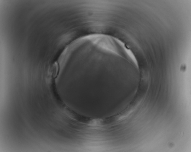 X0000102540080200808221939