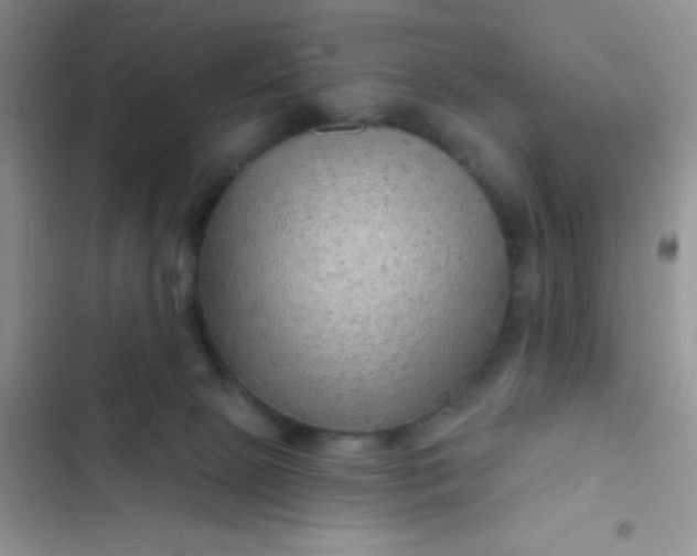 X0000102540081200808221939