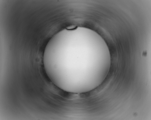 X0000102540083200808221939