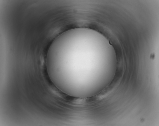 X0000102540084200808221939