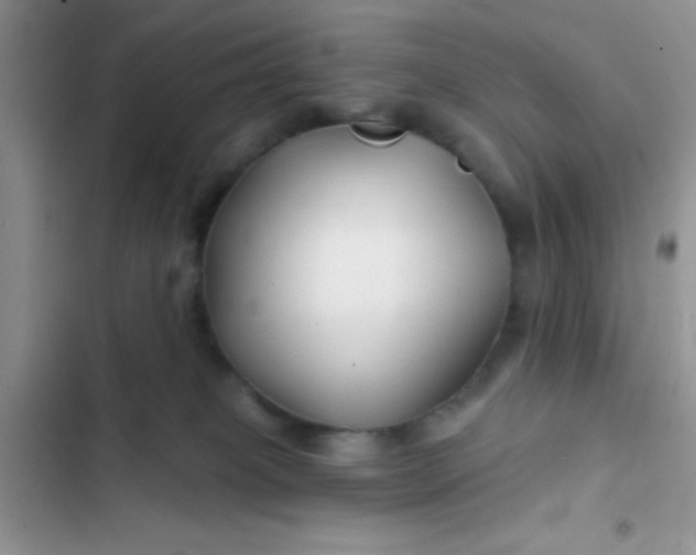X0000102540085200808221939