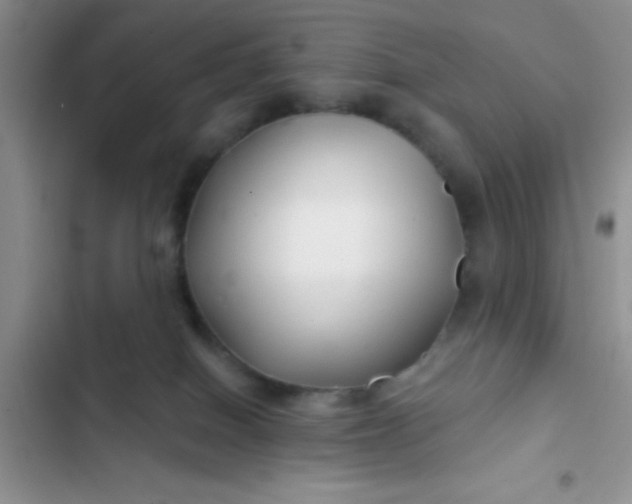 X0000102540086200808221939