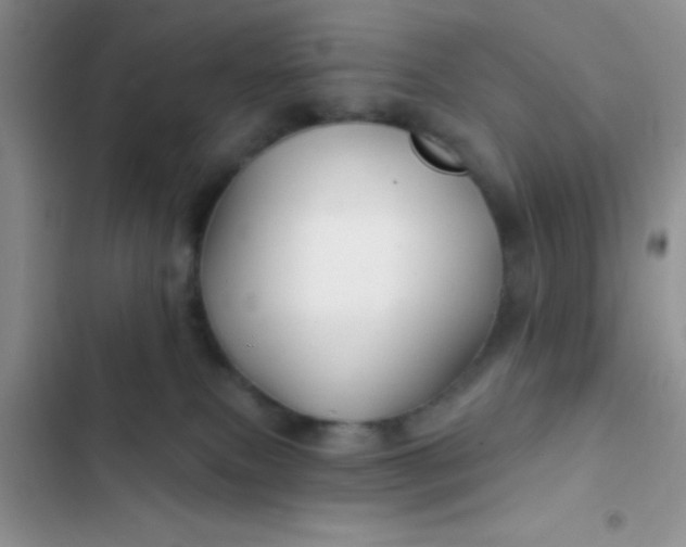 X0000102540087200808221939