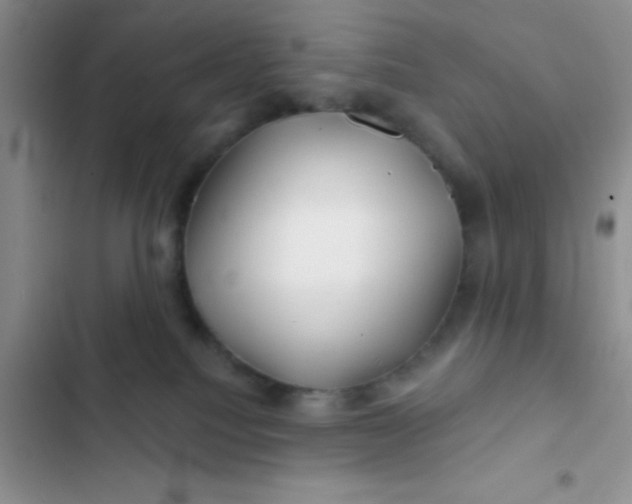 X0000102540088200808221939