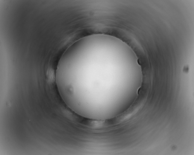 X0000102540089200808221939