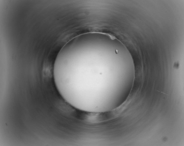 X0000102540090200808221939