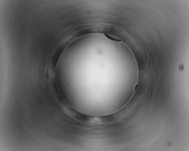 X0000102540091200808221939
