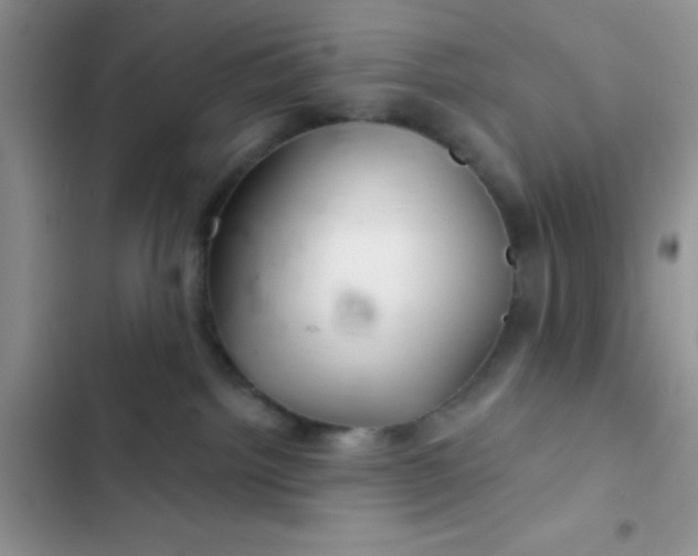 X0000102540092200808221939