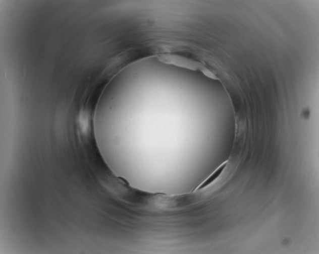 X0000102540094200808221939