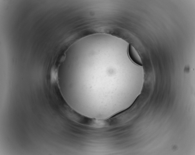 X0000102540095200808221939