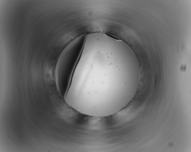 X0000102540096200808221939