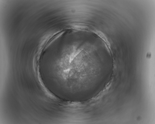 X0000102540097200808221938