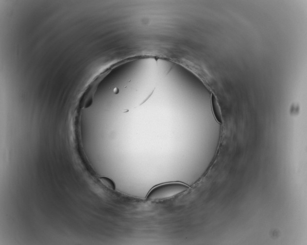 X0000102540098200808221938