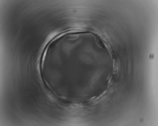 X0000102540099200808221938