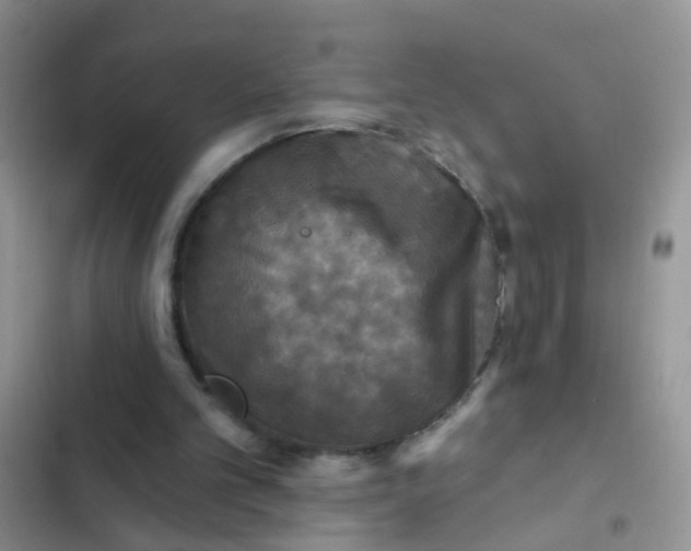 X0000102540101200808221938