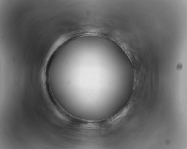 X0000102540102200808221938