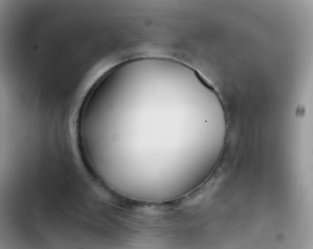 X0000102540103200808221938