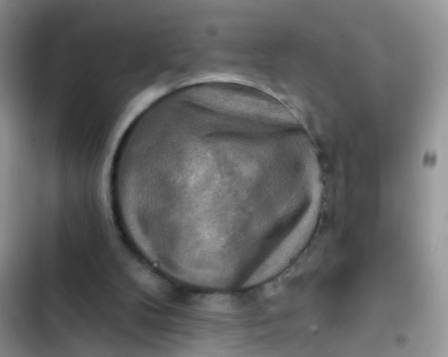 X0000102540104200808221938