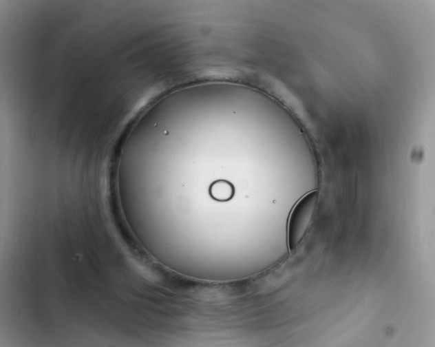 X0000102540106200808221938