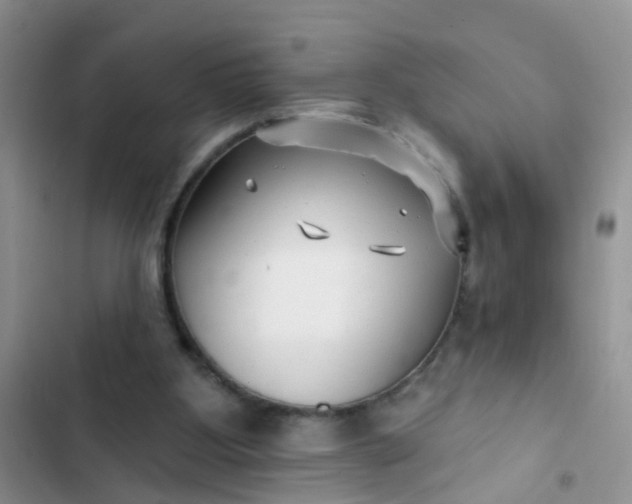 X0000102540107200808221938