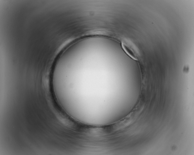 X0000102540108200808221938