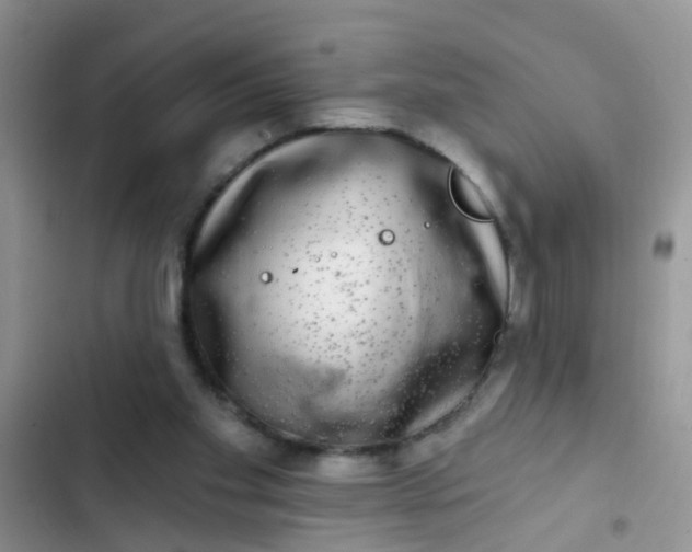 X0000102540109200808221938