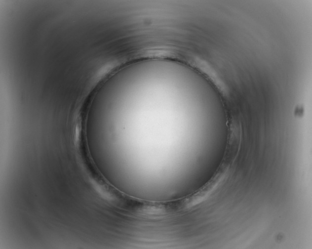 X0000102540110200808221938