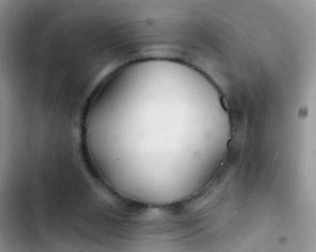 X0000102540111200808221938