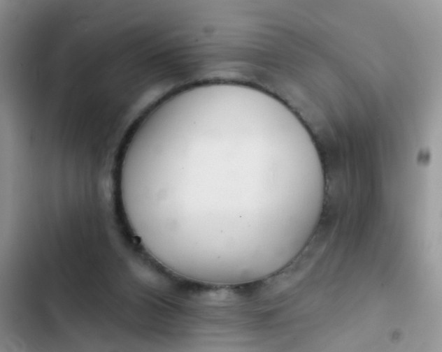 X0000102540112200808221938