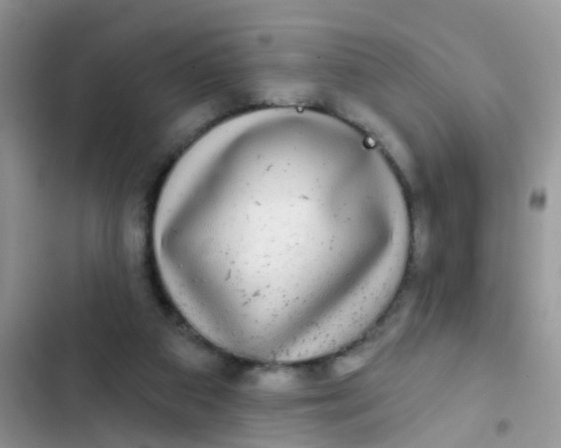 X0000102540113200808221938