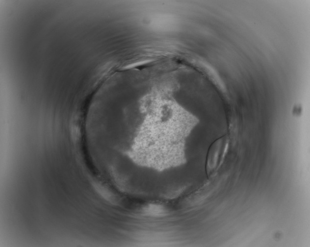 X0000102540114200808221938