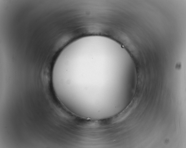 X0000102540116200808221938