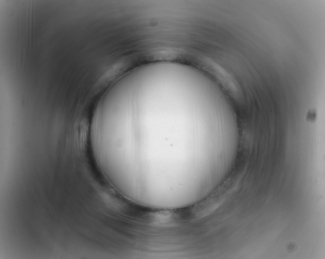 X0000102540118200808221938