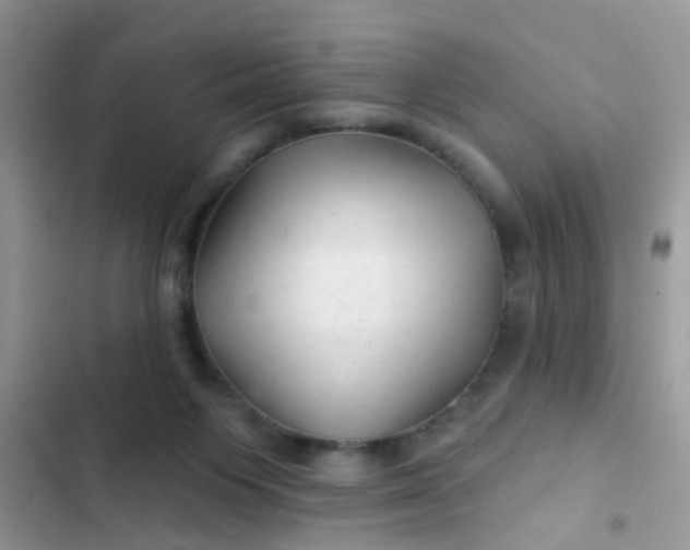 X0000102540119200808221938